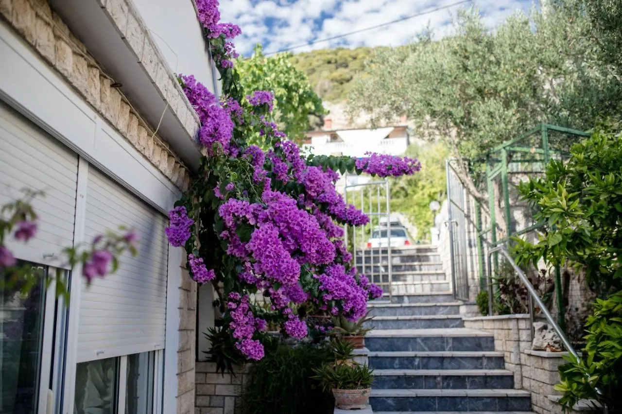 Beachfront Apartment With Seaview Supetarska Draga Croatia